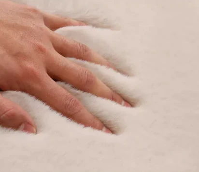What Are the Different Types of Carpet?